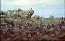 soldiers quarrying